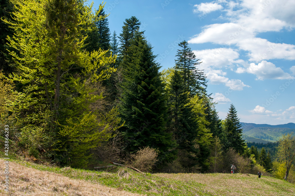 beautiful mountain valleys and mountains on a bright sunny day on the background of a wide valley beautiful mountain valleys and mountains on a bright sunny day on the background of a wide valley