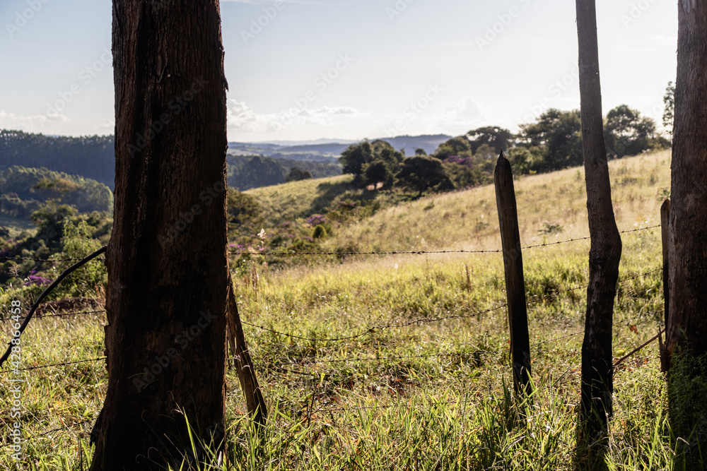 landscape with fence