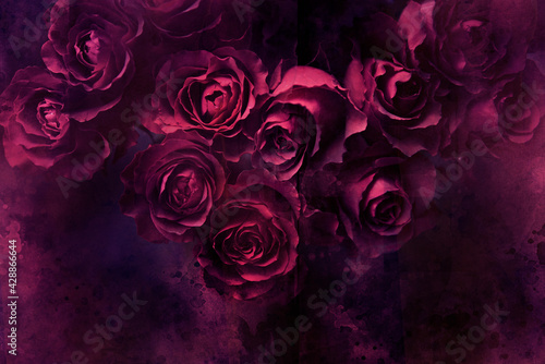 Redish-pink-purple roses on a monochromatic backdrop photo