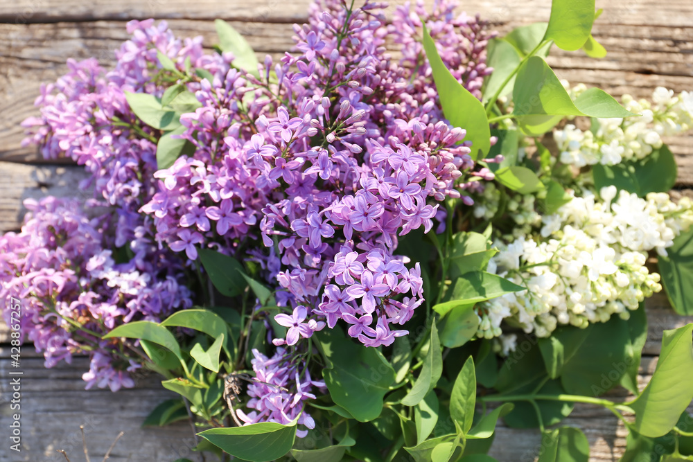 Branch of blooming lilac close up. Lilac flowers close-up, lilac color, spring and its aroma. The symbol of the awakening of nature. Branch of blooming lilac close up. Lilac flowers close-up, lilac color, spring and its aroma. The symbol of the awakening of nature.