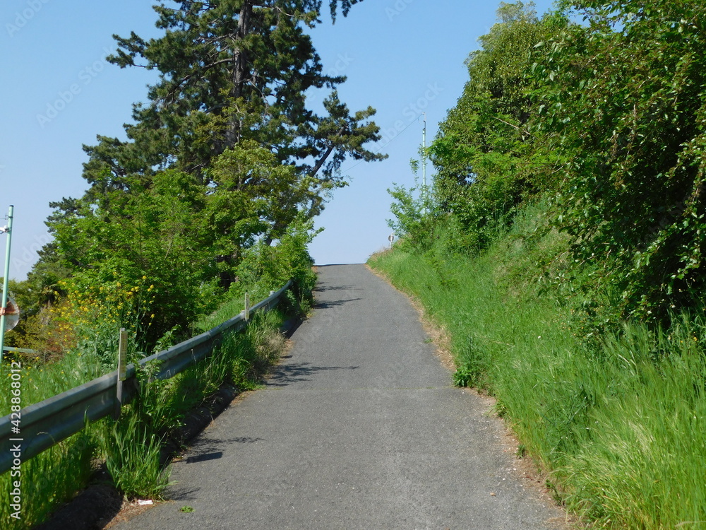 Fototapeta premium 吹田市と豊中市の境界を流れる高川の堤防に登る坂道(2021年4月撮影)