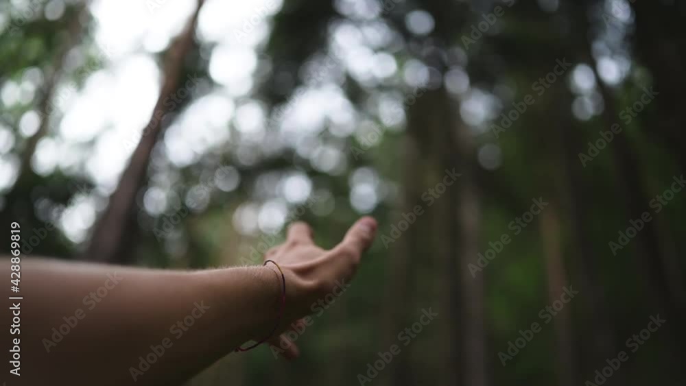 hands playing in the air in the middle of the woods of Italy. hands playing in the air in the middle of the woods of Italy.