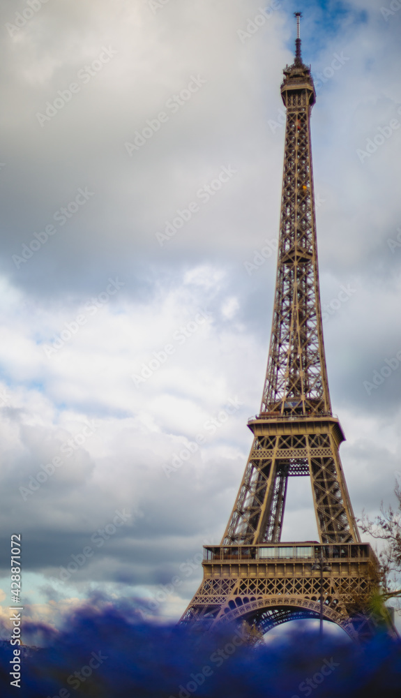 Fototapeta premium eiffel tower city