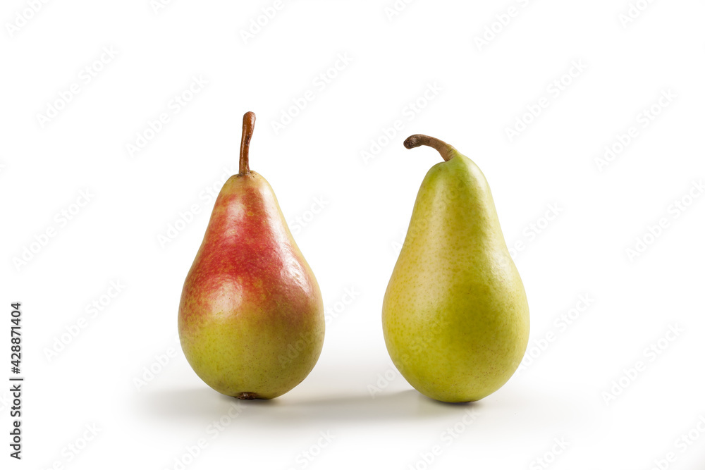 Pears Close-Up, Two Whole, Pair – Italian Cultivar Pears Close-Up, Two Whole, Pair – Italian Cultivar