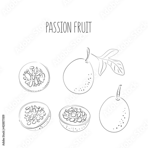 Vector set of black line passion fruit, passionfruit, maracuya purple colors. Whole and cut pieces on a white background.
