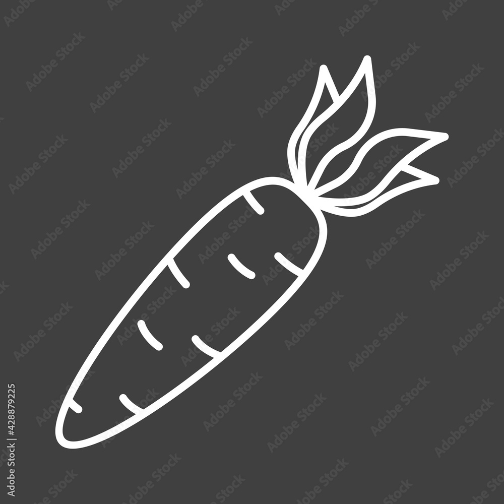 Carrot icon. A simple image of a carrot fruit in a linear style. White drawing on a black background. Isolated vector on clean surface. Carrot icon. A simple image of a carrot fruit in a linear style. White drawing on a black background. Isolated vector on clean surface.
