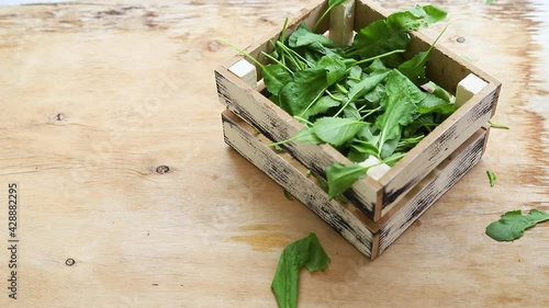 Raw Green Organic Cress in a basket