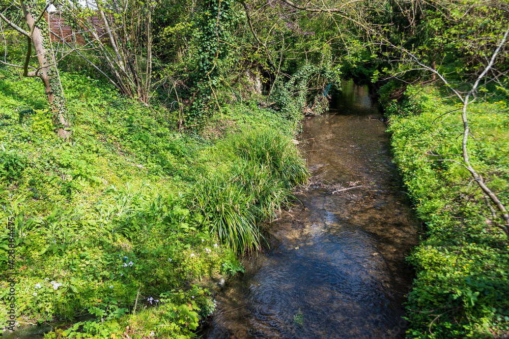 Le cours de la rivière Bièvre au niveau de la commune de Bièvres, dans le département de l'Essonne, France. La Bièvre, autrefois affluent de la Seine, se jette maintenant dans les égouts de Paris Le cours de la rivière Bièvre au niveau de la commune de Bièvres, dans le département de l'Essonne, France. La Bièvre, autrefois affluent de la Seine, se jette maintenant dans les égouts de Paris