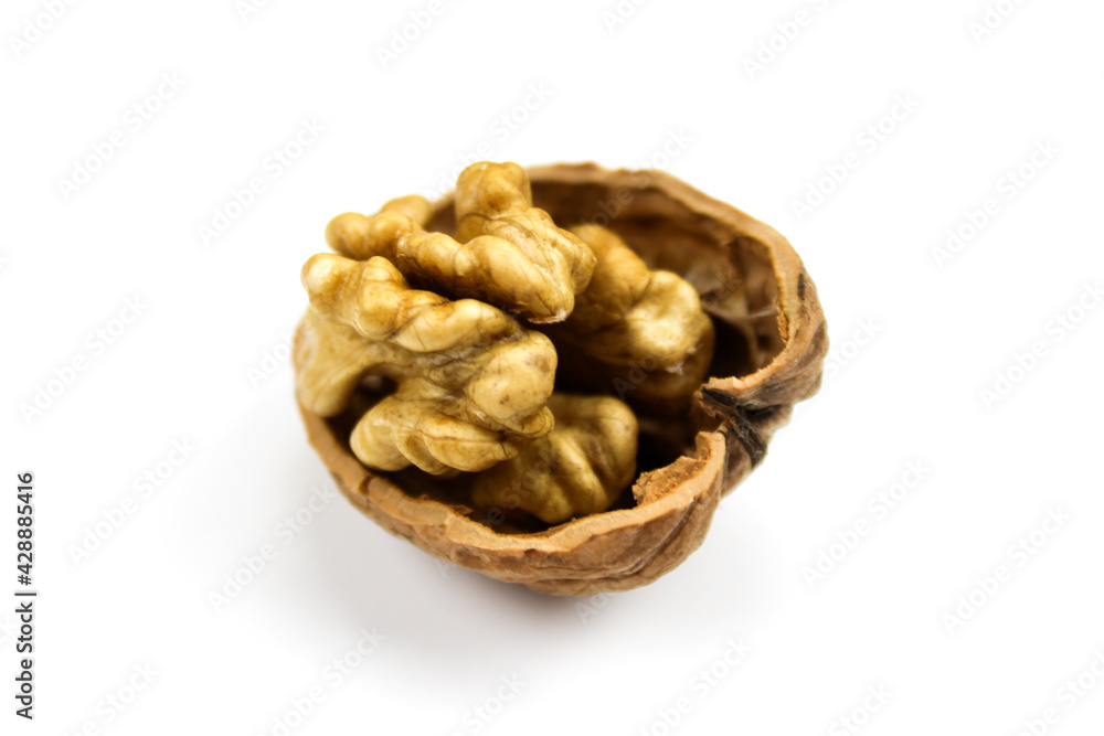 Walnut kernel in half shell isolated on white background. Fruit walnut isolated on a white background. Walnut kernel in half shell isolated on white background. Fruit walnut isolated on a white background.