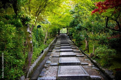 ancient path in japan