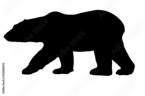 silhouette of a polar bear