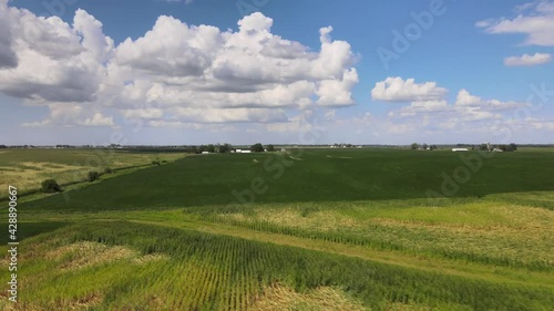 Aerial drone video wind damage to rural, agrarian agricultural crops and farmland in the midwest heartland of Iowa.