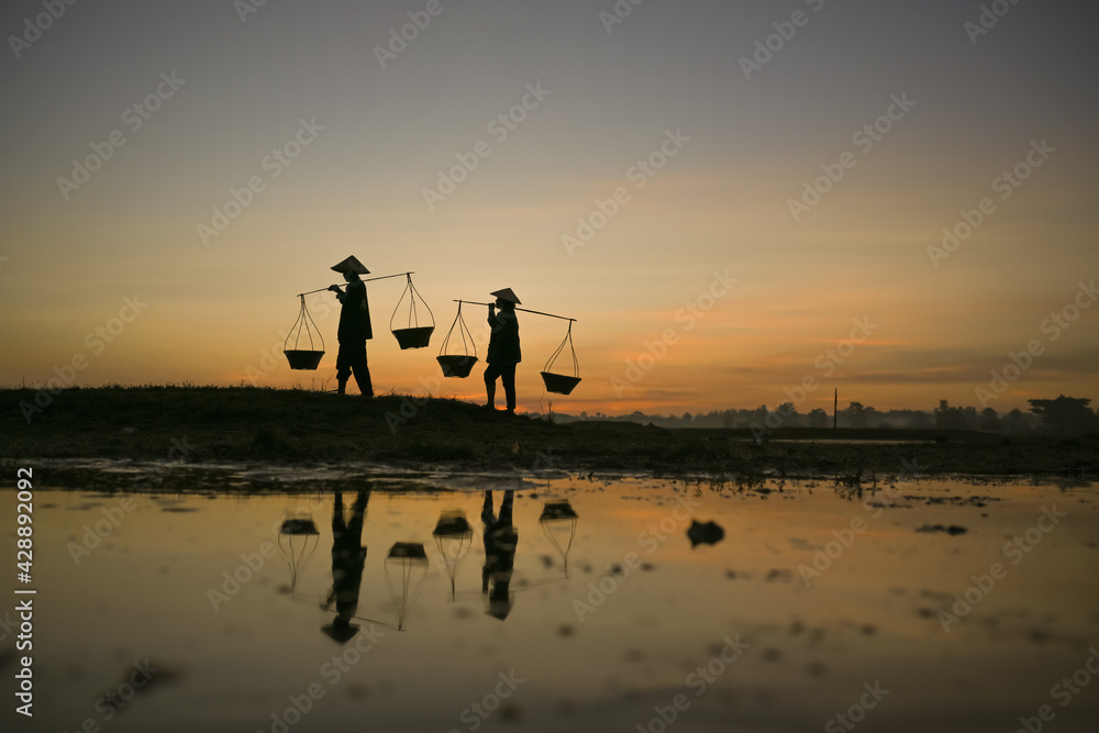 Thai farmers are carrying baskets to prepare to go home before the sun goes down. Silhouette farmer. Silhouette light.