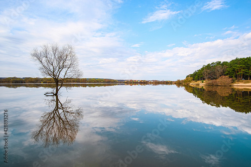 Spring landscape with the image of high water