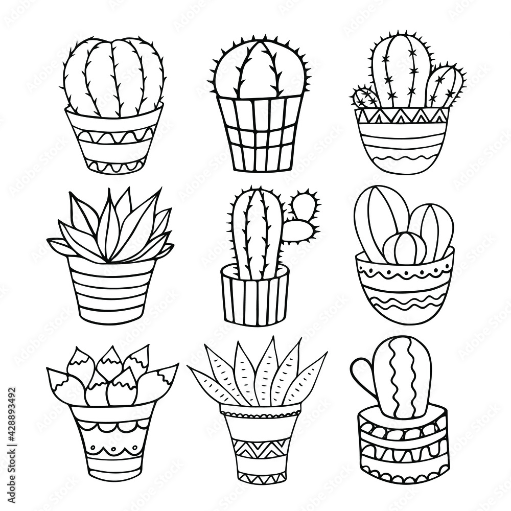 Cactus in a pots. Line icons set isolated on white background. Cactus in a pots. Line icons set isolated on white background.