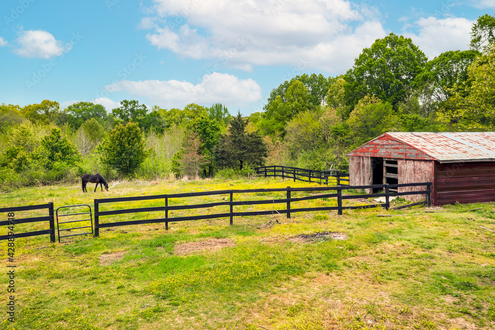 Country horse farm