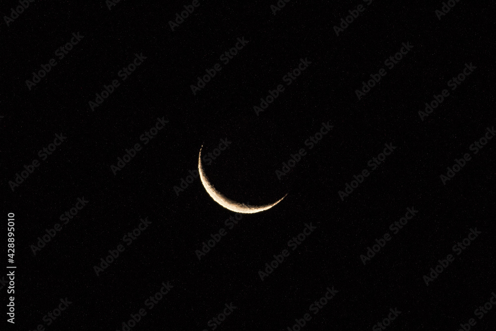 moon moon