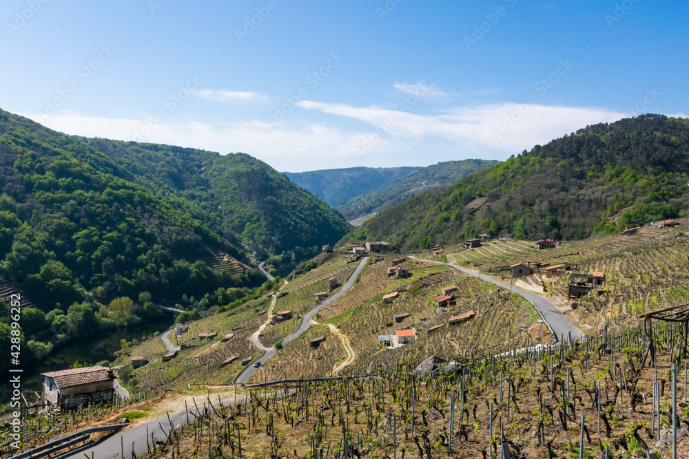 Fototapeta premium Beautiful scenery among mountains of vineyards in the Ribeira Sacra