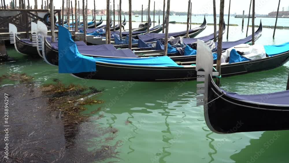 Venice, Italy - gondolas and gondoliers in the Grand Canal near the Rialto Bridge, in the San Marco Basin and between the canals of the lagoon city Venice, Italy - gondolas and gondoliers in the Grand Canal near the Rialto Bridge, in the San Marco Basin and between the canals of the lagoon city