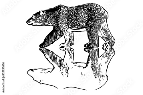 Polar bear walking with reflection vector illustration 