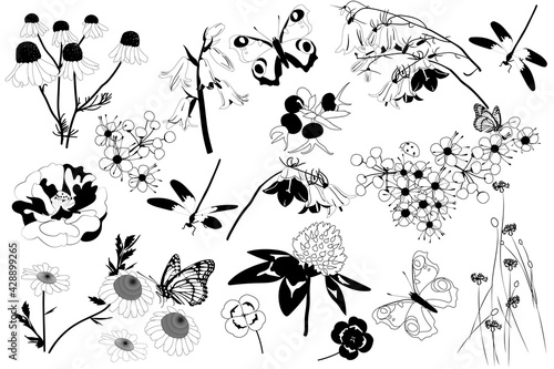 Hand drawn set of butterflies, dragonfly and wildflowers on white background. Set of monochrome flying and sitting insects near the flowers. Black and white doodle floral elements. Meadow flowers