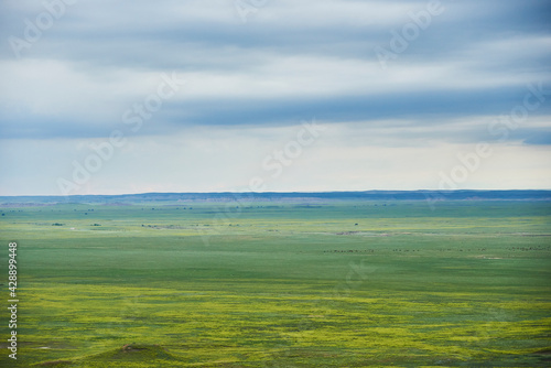 View over mixed grass prairie in Badlands National Park