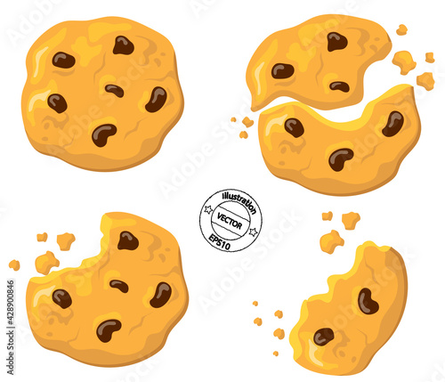 cookie with chocolate