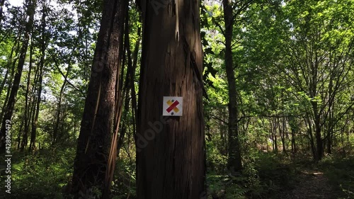 DOLLY SHOT - Sign footpaths trails in Antas, Esposende, Portugal. Hiking trail direction. Hiking route wooden information. Trail Sign on a tree. Red and yellow trail sign on a tree. 