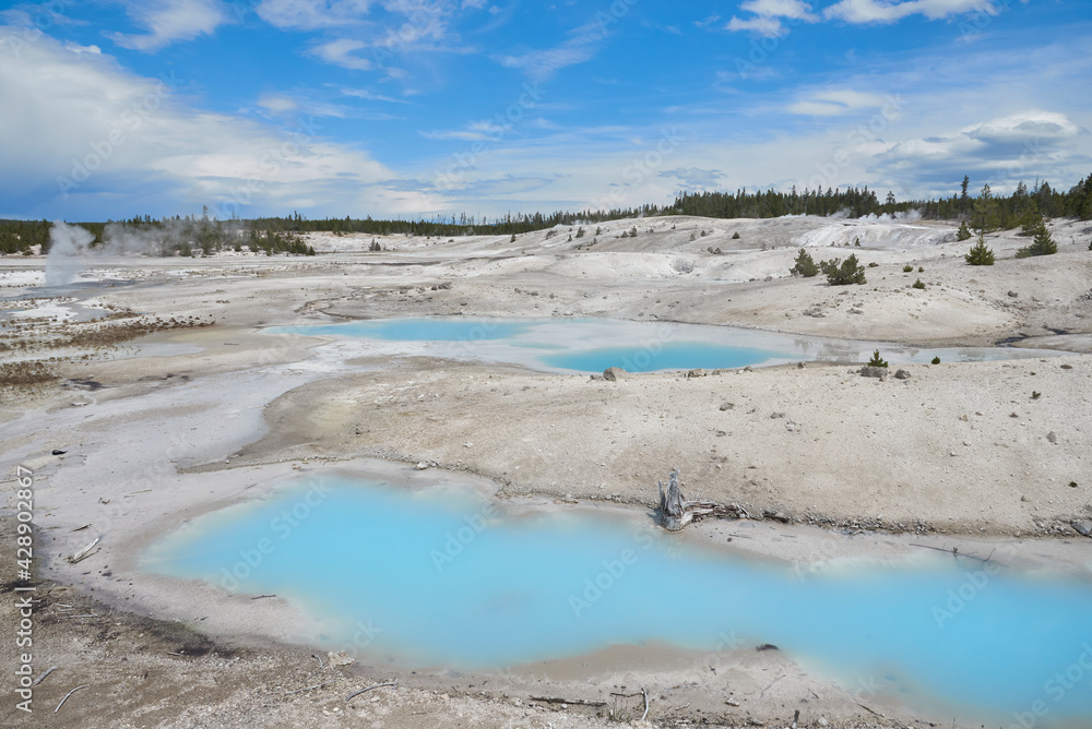 Ponds at Norris Geyser Basin in Yellowstone Park Ponds at Norris Geyser Basin in Yellowstone Park