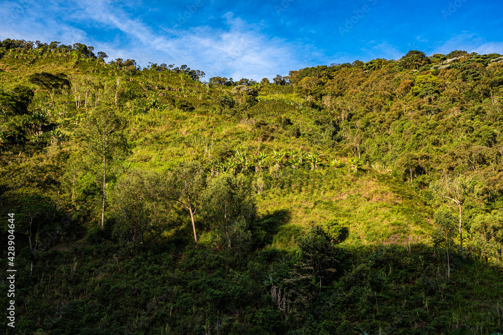 Obraz premium Montañas de Colombia