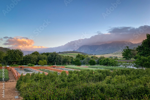 Obraz na płótnie Scenery at formal garden of Babylonstoren farm with Simonsberg mountain covered with clouds at sunset. w salonie