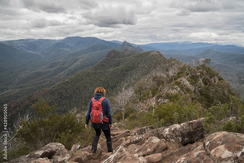 CATHEDRAL RANGE STATE PARK