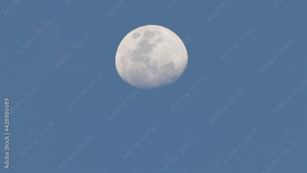 The moon almost full in a dark blue sky with visible crators The moon almost full in a dark blue sky with visible crators