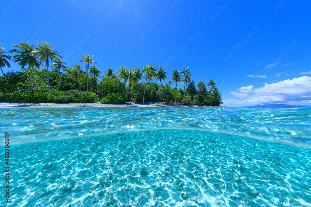 Fototapeta premium lagon translucide de Bora Bora, Polynesie francaise