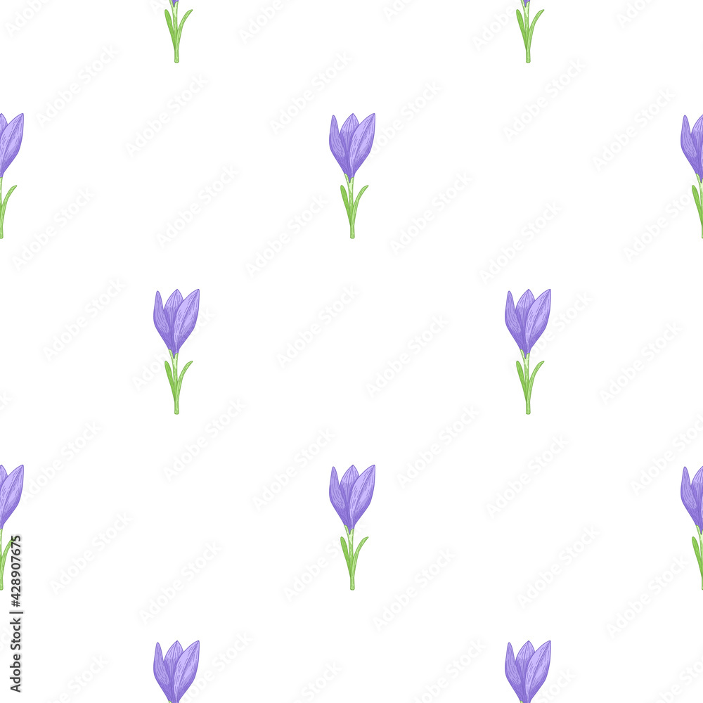 Isolated seamless doodle pattern with simple blue outline crocus flower elements. White background.