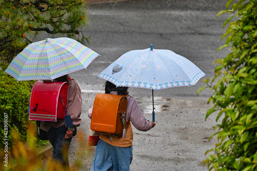 雨の日の雨傘で通学の二人の女子の後ろ姿