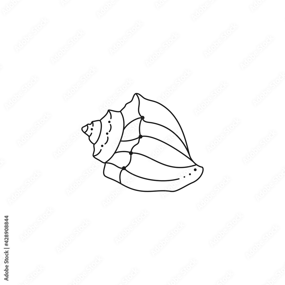 Seashell cone in sketch style tattoo Royalty Free Vector