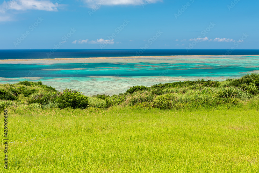 Breathtaking view an unbelievable color ocean, light green till turquoise. Very green grass on foreground composing the seascape scene.