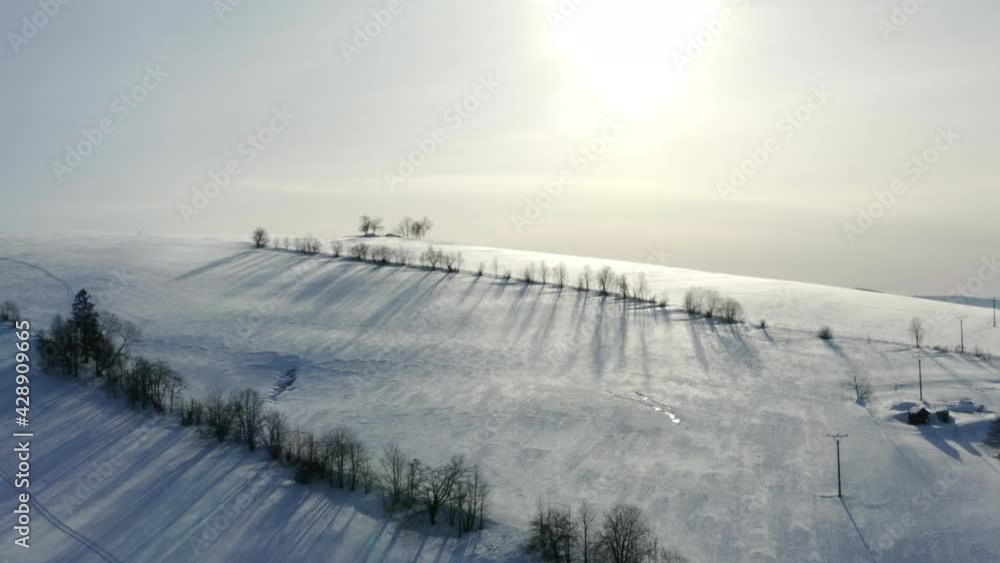 Snowy hillside with trees in a winter countryside in Morava,Czechia. Snowy hillside with trees in a winter countryside in Morava,Czechia.