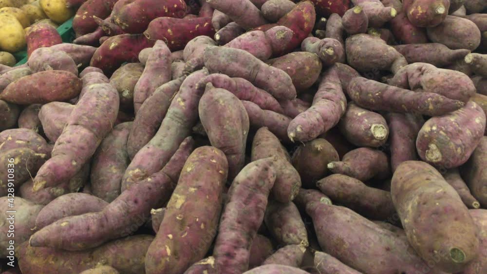sweet Potatoes for selling in department store sweet Potatoes for selling in department store