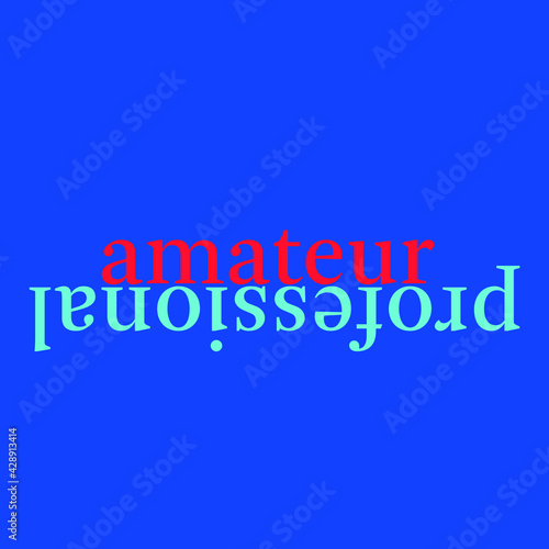 text opposite words: amateur / professional, lowercase and editable vector