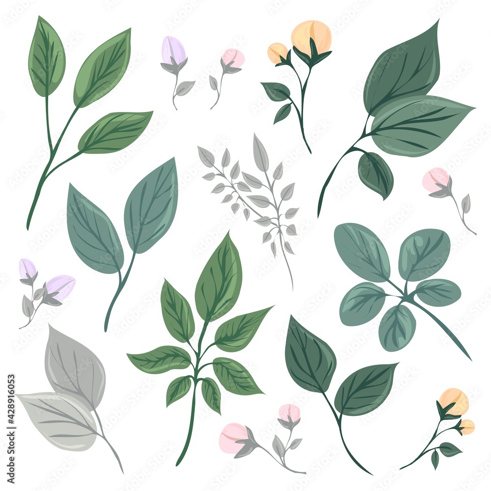Botanical elements set. Collection of flowers and leaves. Flat isolated vector illustration. Pastel colors. Botanical elements set. Collection of flowers and leaves. Flat isolated vector illustration. Pastel colors.