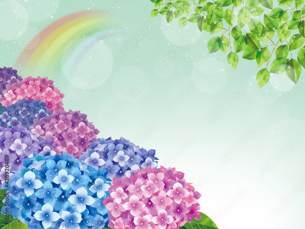 梅雨のあじさい水彩イラスト背景横stock Illustration Adobe Stock 梅雨のあじさい水彩イラスト背景横stock Illustration Adobe Stock