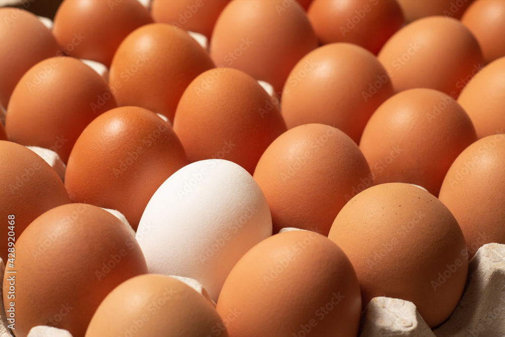 Chicken brown and white fresh raw eggs in a carton container. Ingredients for cooking. Concept for healthy eating. Selective focus. Chicken brown and white fresh raw eggs in a carton container. Ingredients for cooking. Concept for healthy eating. Selective focus.