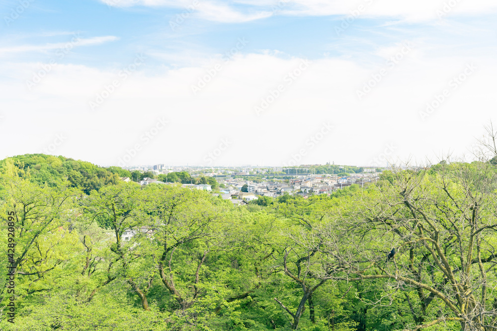 Obraz premium landscape with trees