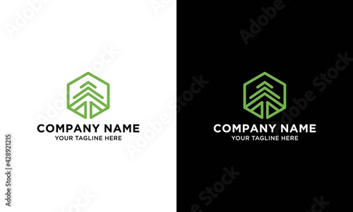 hexagon pine tree  logo design Template