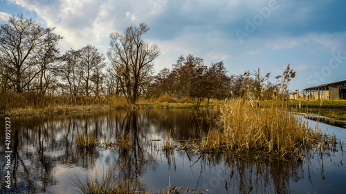 Ein kleiner See in dem sich Bäume spiegeln