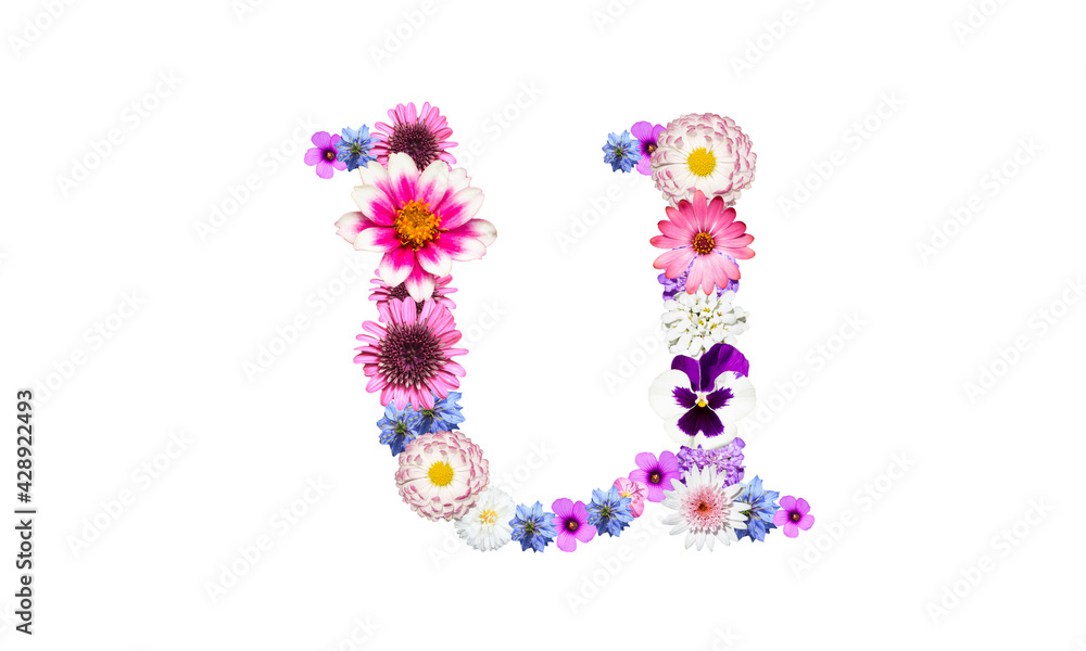 春の花文字、アルファベットの小文字のu