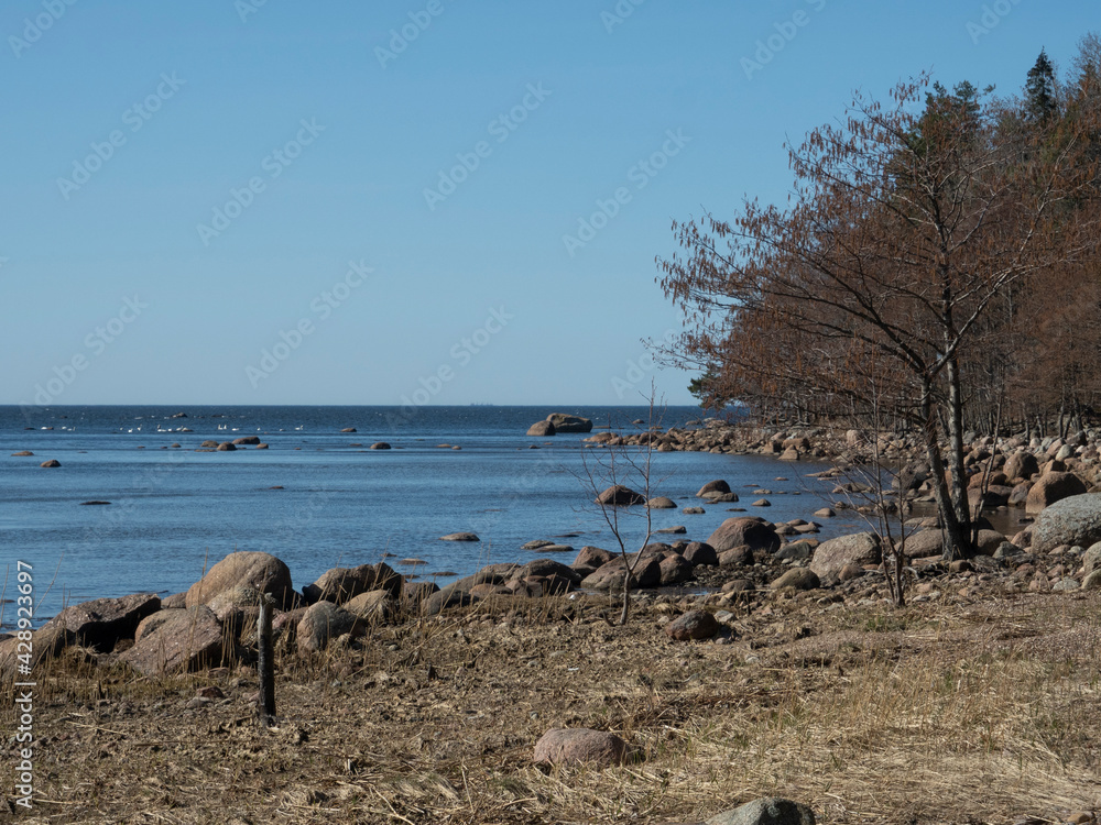 northern baltic sea coast spring blue water northern baltic sea coast spring blue water
