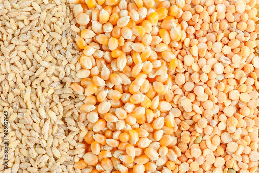 Heap of different cereals and legumes as background